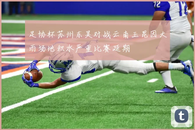 足协杯苏州东吴对战云南玉昆因大雨场地积水严重比赛延期
