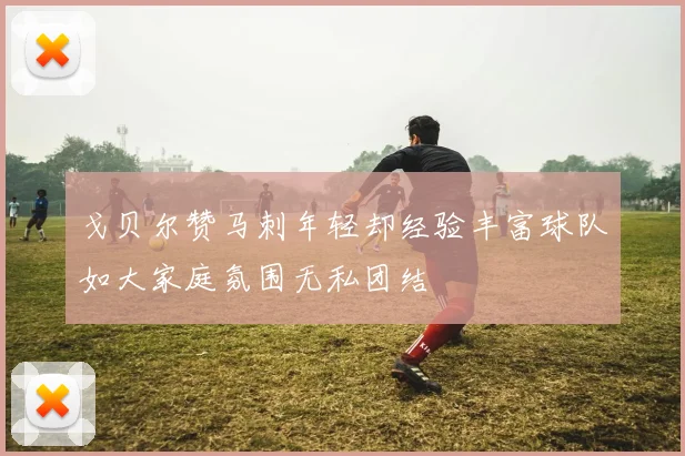 戈贝尔赞马刺年轻却经验丰富球队如大家庭氛围无私团结
